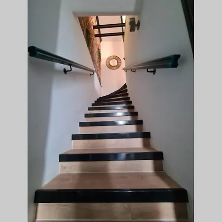 Le Jungle Apartment Moissac