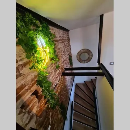 Le Jungle Moissac