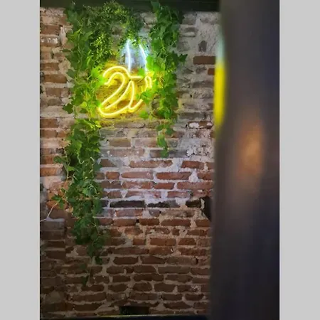 Le Jungle Apartment *
